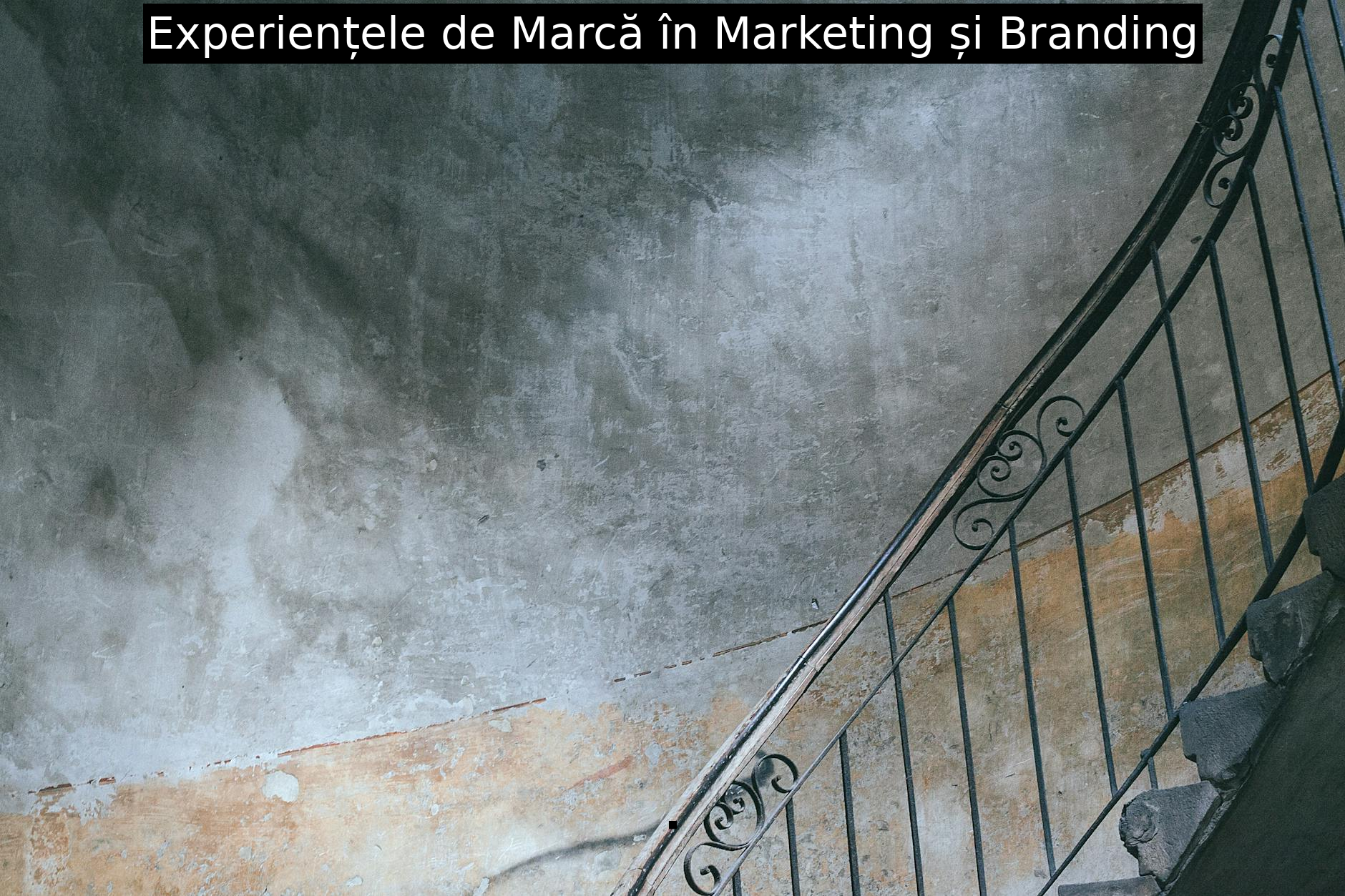 Experiențele de Marcă în Marketing și Branding